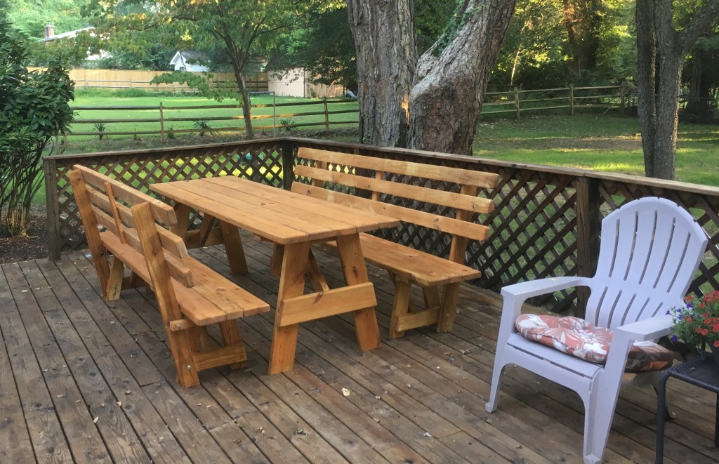 skinny-picnic-table